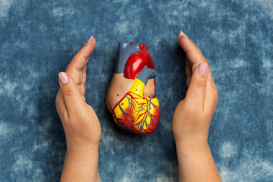 Good Cholesterol vs Bad Cholesterol: Everything You Need to Know - Nutrix Health Care