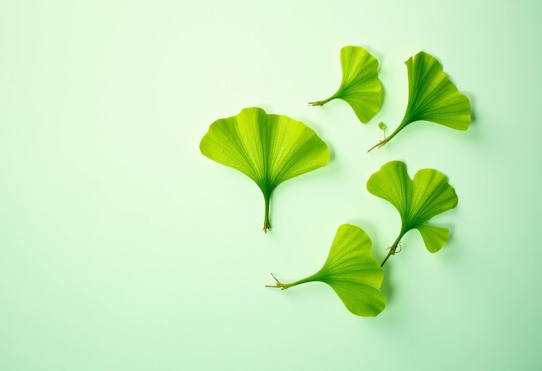 Top 5 Health Benefits Of Ginkgo Biloba That You Will Love - Nutrix Health Care