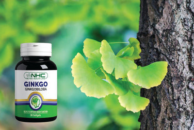 Best Ginkgo Biloba Supplement For Brain Health in Pakistan - Nutrix Health Care