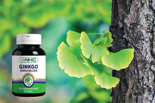 Best Ginkgo Biloba Supplement For Brain Health in Pakistan - Nutrix Health Care