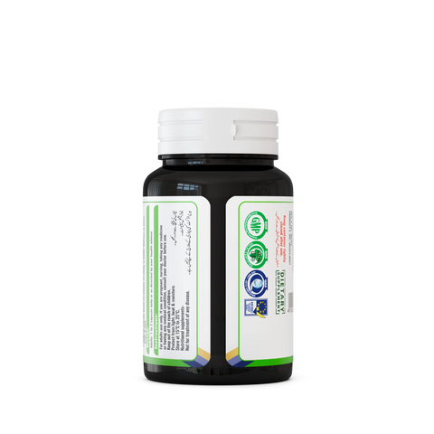 Ginkgo biloba capsules, highlighting the herbal supplement derived from the ancient Ginkgo tree back side